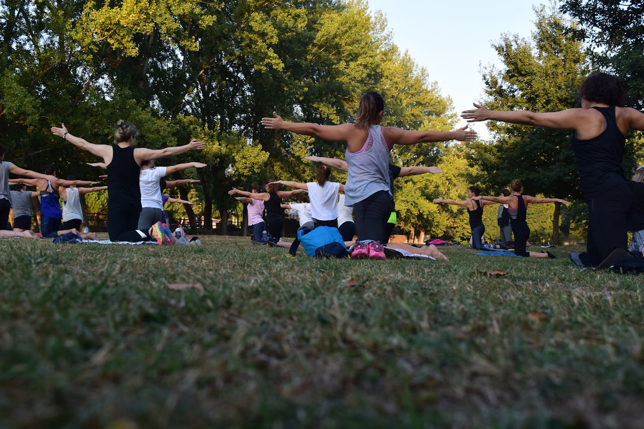 People performing yoga on green grass near trees.