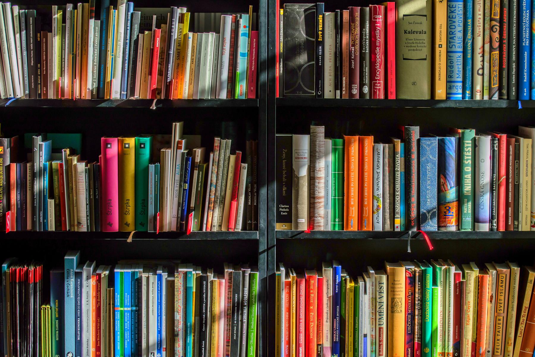 Colorful books on a in black wooden book shelf.