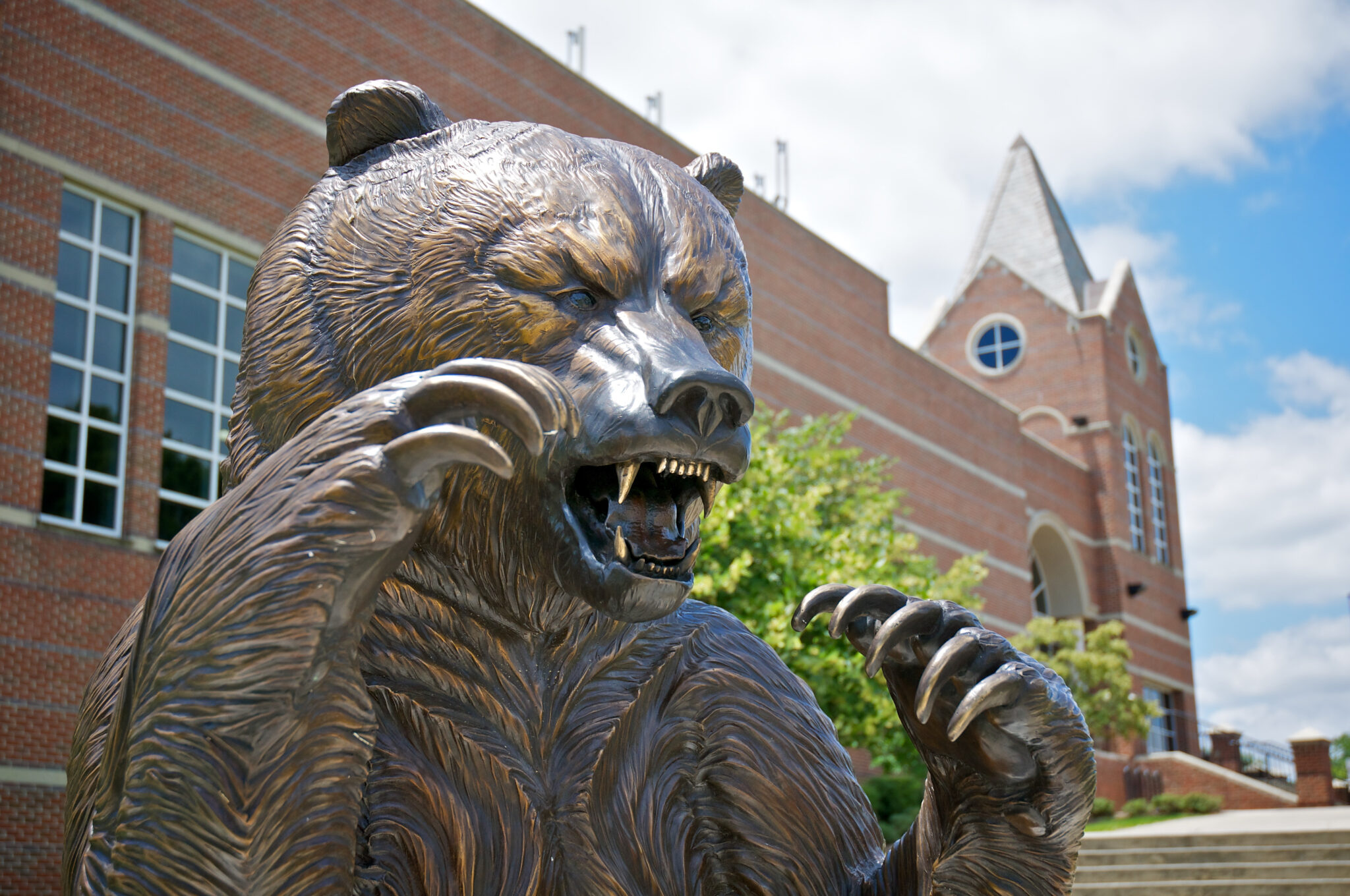 Mercer Bear statue