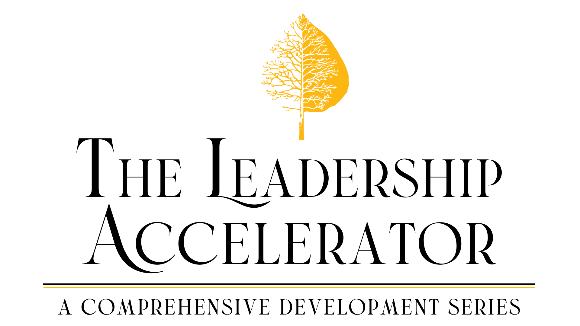 Logo for The Leadership Accelerator with the tagline, "A comprehensive development series."