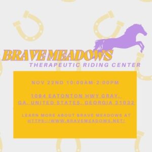 Promotional poster for volunteer opportunity with Brave Meadows.