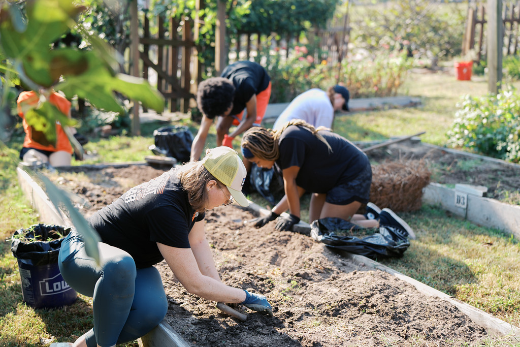 Mercer students work together tending raised garden beds outdoors on a sunny day.
