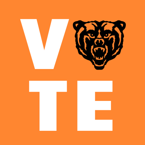 Mercer Votes logo