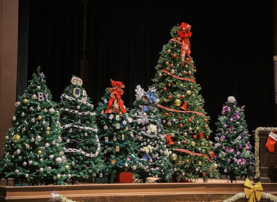 A row of decorated Christmas trees displayed on a stage, each uniquely adorned with ornaments, ribbons, and themed decorations.