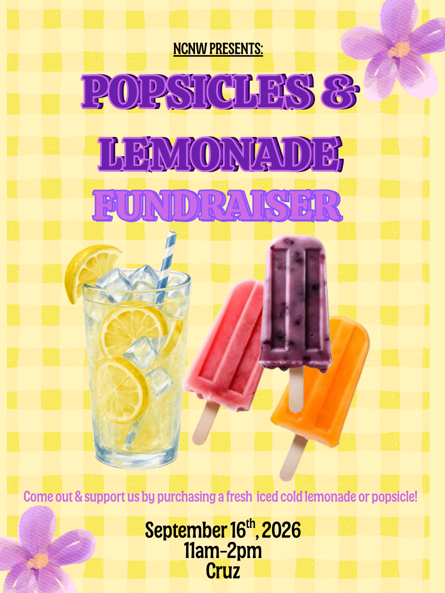 Promotional graphy for popsicles and lemonade fundraiser.